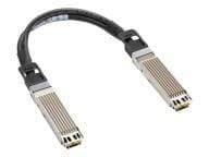 HPE Kabel / Adapter P45696-B21 2