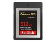 SanDisk Speicherkarten/USB-Sticks SDCFE-512G-GN4NN 1