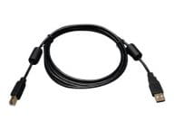 Tripp Kabel / Adapter U023-006 1