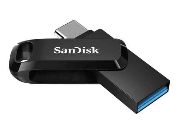 SanDisk Speicherkarten/USB-Sticks SDDDC3-256G-G46 3