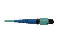 Tripp Kabel / Adapter N846B-10M-24-P 5