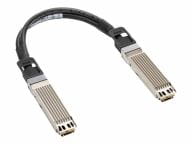 HPE Kabel / Adapter P45696-B22 1