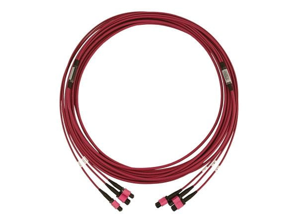 Tripp Kabel / Adapter N858B-10M-3X8MG 5