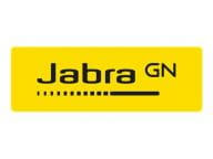 Jabra Kabel / Adapter 8800-00-69 2