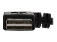 inLine Kabel / Adapter 34602R 2