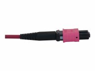 Tripp Kabel / Adapter N845X-03M-8L-MG 2