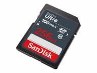 SanDisk Speicherkarten/USB-Sticks SDSDUNR-256G-GN3IN 4
