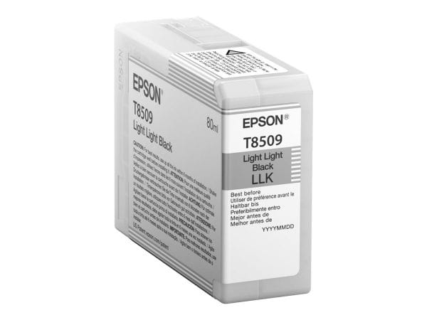 Epson Tintenpatronen C13T850900 1