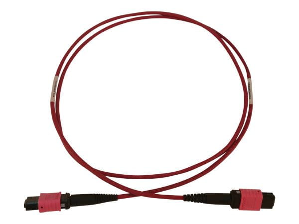 Tripp Kabel / Adapter N845B-01M-12-MG 5