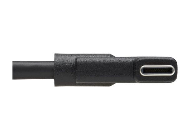 Tripp Kabel / Adapter U420-01M-G25ARA 3