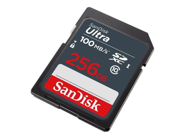 SanDisk Speicherkarten/USB-Sticks SDSDUNR-256G-GN3IN 1