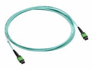 HPE Kabel / Adapter P49765-B21 1