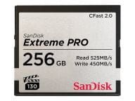 SanDisk Speicherkarten/USB-Sticks SDCFSP-256G-G46D 2