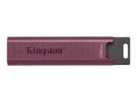 Kingston Speicherkarten/USB-Sticks DTMAXA/1TB 1