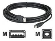 APC Kabel / Adapter NBAC0214P 3