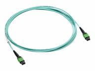 HPE Kabel / Adapter P49765-B26 2