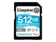 Kingston Speicherkarten/USB-Sticks SDG3/512GB 1
