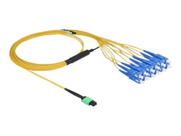 Delock Kabel / Adapter 84871 2