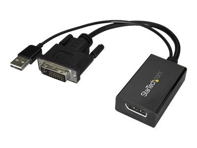 StarTech.com Kabel / Adapter DVI2DP2 2