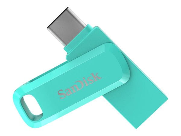 SanDisk Speicherkarten/USB-Sticks SDDDC3-256G-G46G 4