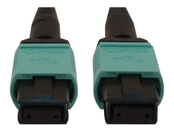 Tripp Kabel / Adapter N844B-03M-12-P 2