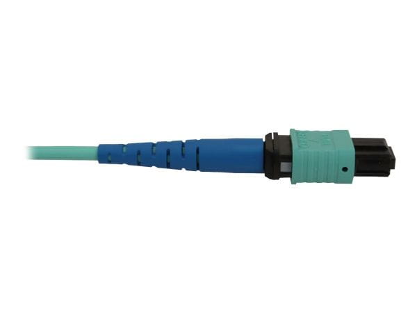 Tripp Kabel / Adapter N846B-02M-24-P 4