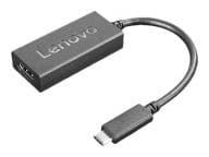 Lenovo Kabel / Adapter 4X90R61022 1