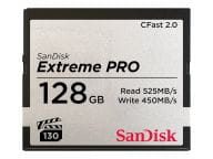 SanDisk Speicherkarten/USB-Sticks SDCFSP-128G-G46D 1