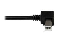 StarTech.com Kabel / Adapter USBAB2ML 5