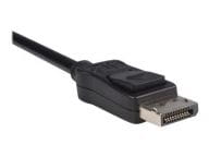 StarTech.com Kabel / Adapter DP2HDMI 2