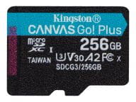 Kingston Speicherkarten/USB-Sticks SDCG3/256GBSP 1
