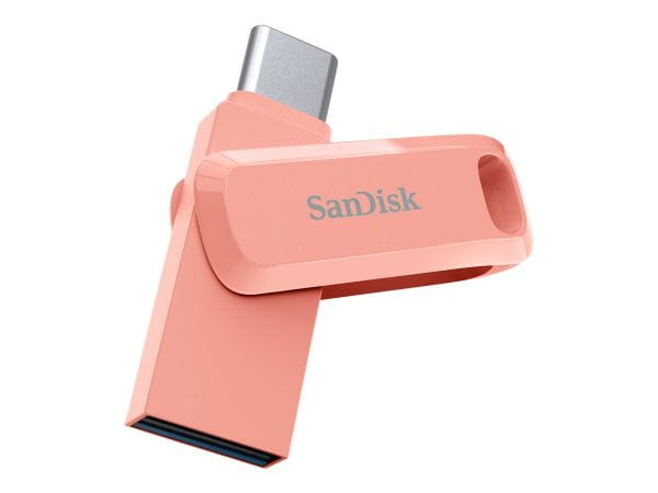 SanDisk Speicherkarten/USB-Sticks SDDDC3-256G-G46PC 3