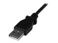 StarTech.com Kabel / Adapter USBAMB2MD 4